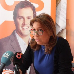 Ciudadanos pedirá la revisión del Plan especial de limpieza y del estado de los imbornales en el próximo pleno Ciudadanos pedirá la revisión del Plan especial de limpieza y del estado de los imbornales en el próximo pleno