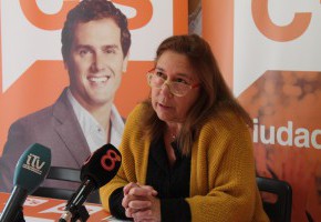 Mas (Cs): “Es preocupante el estado de inactividad del gobierno” Mas (Cs): “Es preocupante el estado de inactividad del gobierno”