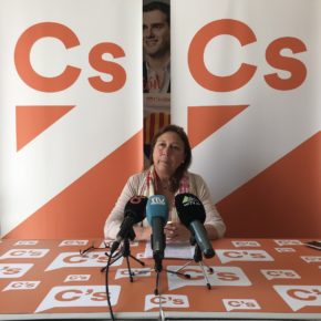 Ciudadanos pide que los diferentes grupos municipales participen en el Comité Asesor de Seguridad de la Feria del Carmen y la Sal Ciudadanos pide que los diferentes grupos municipales participen en el Comité Asesor de Seguridad de la Feria del Carmen y la Sal