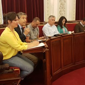 Ciudadanos lleva al Pleno la situación de Cádiz 2012 Ciudadanos lleva al Pleno la situación de Cádiz 2012