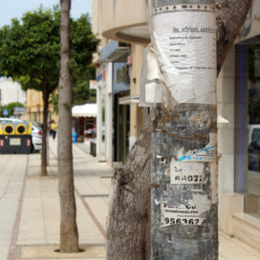 Ciudadanos Sanlúcar exige el cumplimiento de las ordenanzas con el estado de las farolas de la ciudad Ciudadanos Sanlúcar exige el cumplimiento de las ordenanzas con el estado de las farolas de la ciudad