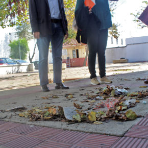 Cs Sanlúcar pide mejoras para la barriada de El Palmar