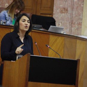 Ciudadanos propone en el Congreso una iniciativa para blindar el sector pesquero andaluz