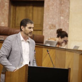El Parlamento de Andalucía aprueba por unanimidad una iniciativa de Ciudadanos en la comisión de Cultura para declarar BIC al Teatro Romano de Cádiz