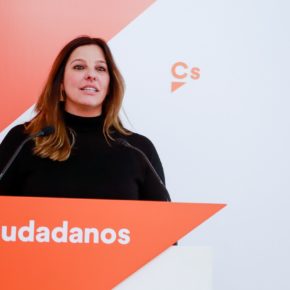 Ciudadanos pide que el superávit de Diputación de Cádiz flexibilice las tasas municipales para pymes y autónomos