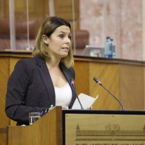 Ciudadanos propone a la Junta de Andalucía impulsar medidas de apoyo a los trabajadores de la Central Térmica de Los Barrios