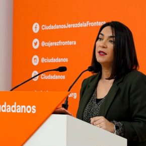 Ciudadanos propone al Gobierno de España un aplazamiento del pago de impuestos como balón de oxígeno para autónomos y pymes de Andalucía
